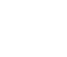 Canvas Logo