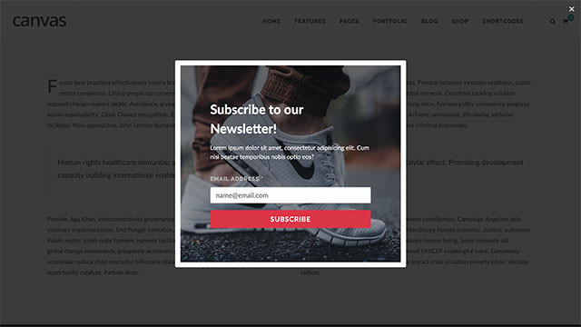 Modal Subscribe Form