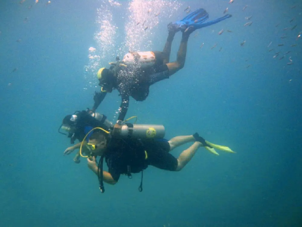 Mergulho com Cilindro em Porto Seguro